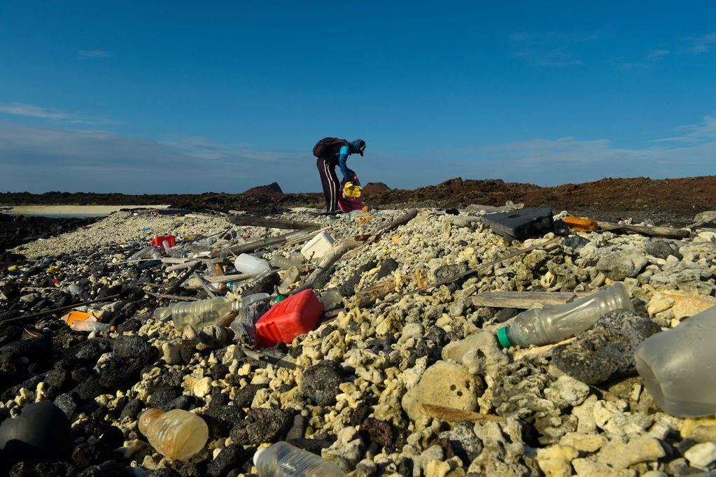 Islas Galápagos. Foto: EFE.