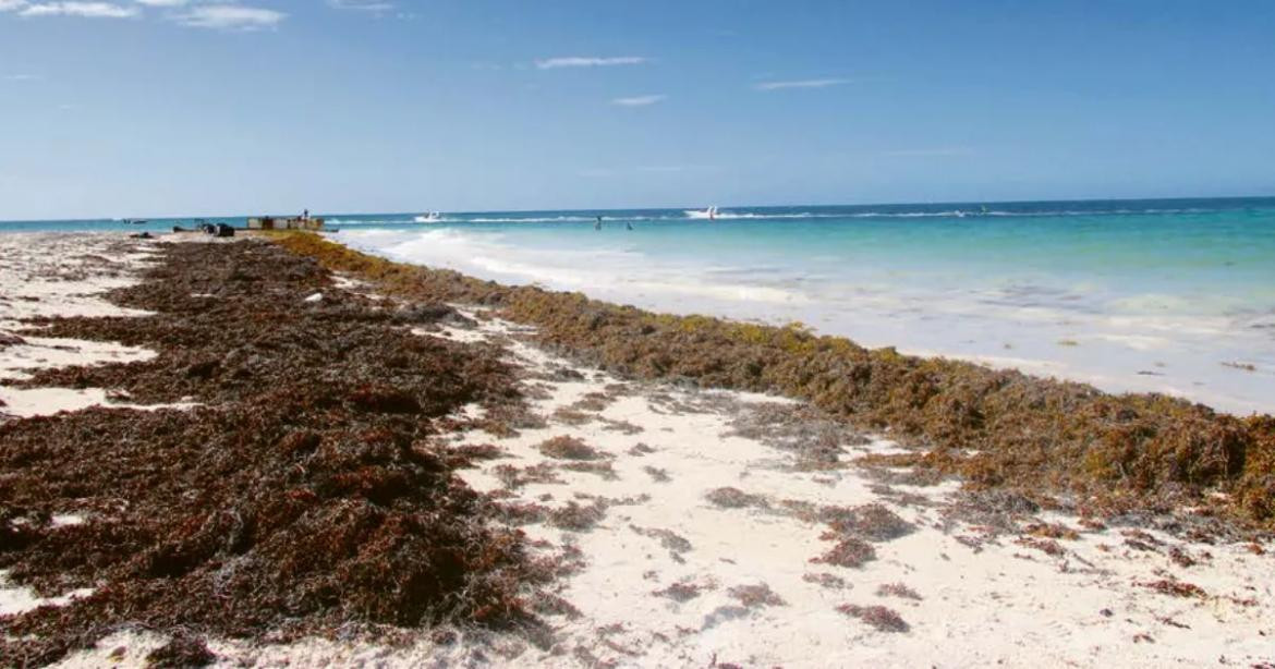 Playas Florida. Foto: EFE.