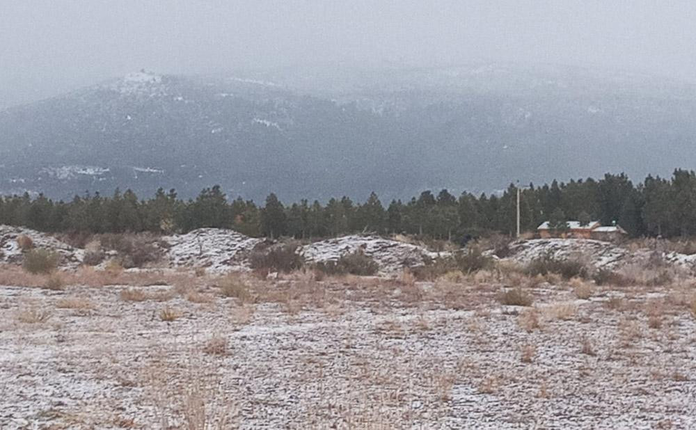 Hallazgo en Chubut. Foto: radio3cadenapatagonia.