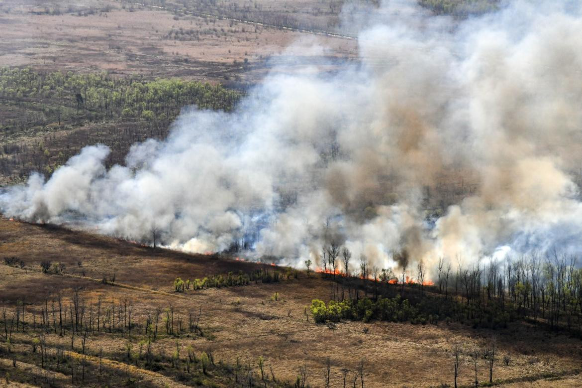 Incendios en el Delta. Foto: NA.