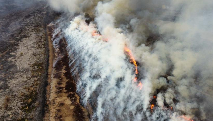 Incendios en el Delta. Foto: NA.