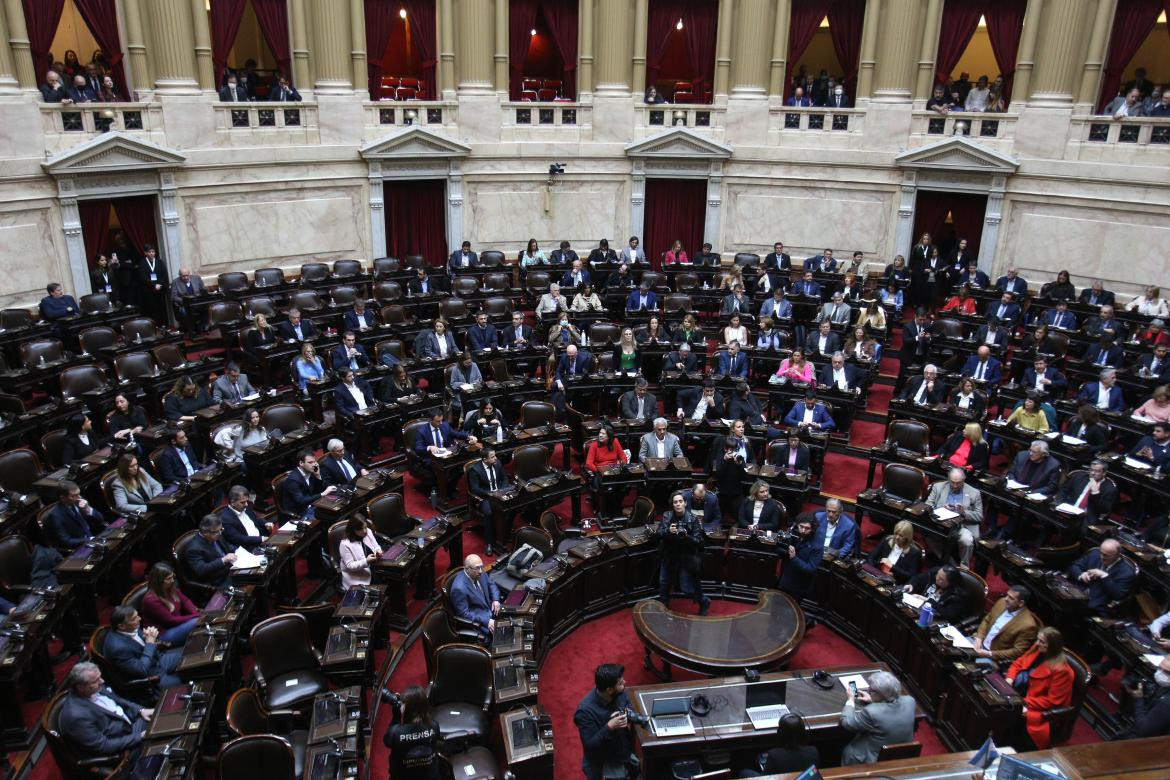 Sesión especial en Diputados. Foto: NA