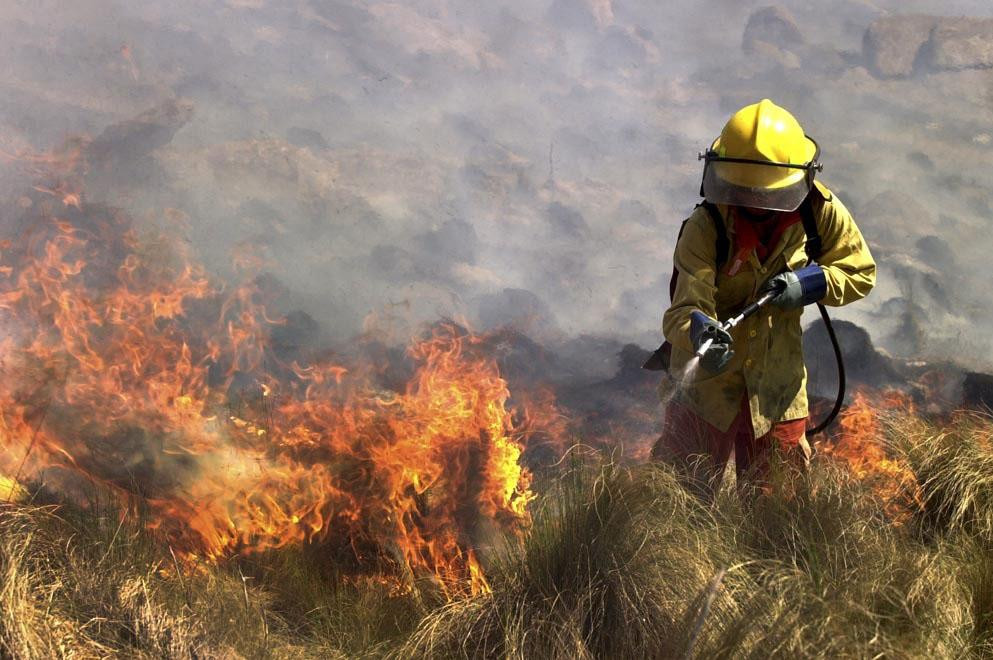 Incendios en Córdoba. Foto: NA