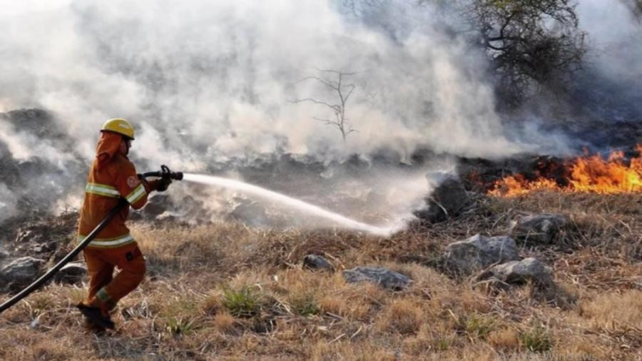 Incendios. Foto: NA.