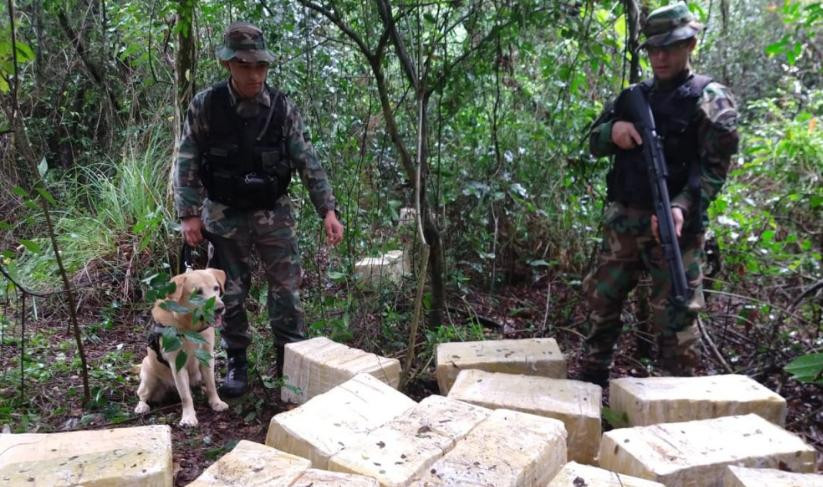 Operativo policial en Misiones. Foto: NA.