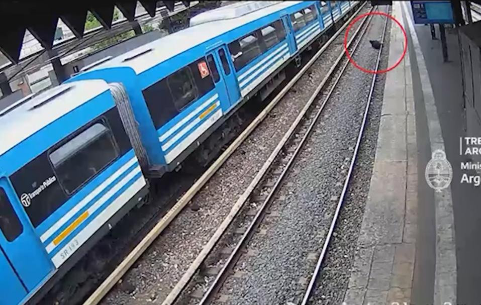 Detención del delincuente en las vías del Sarmiento. Foto: captura video