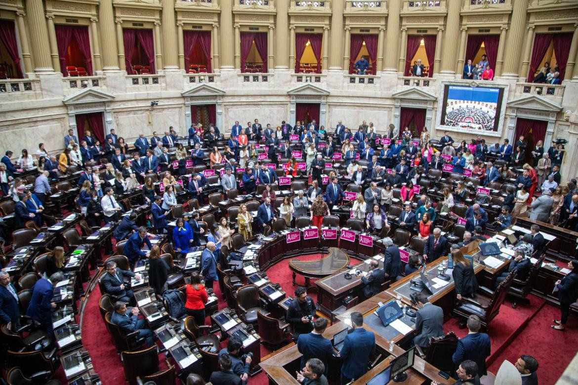 Diputados, Congreso. Foto: NA.