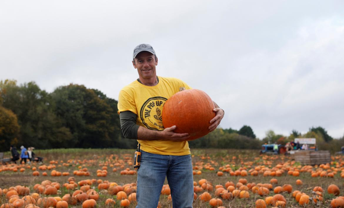 Cosecha de calabazas durante el otoño de Estados Unidos. Foto: Reuters.