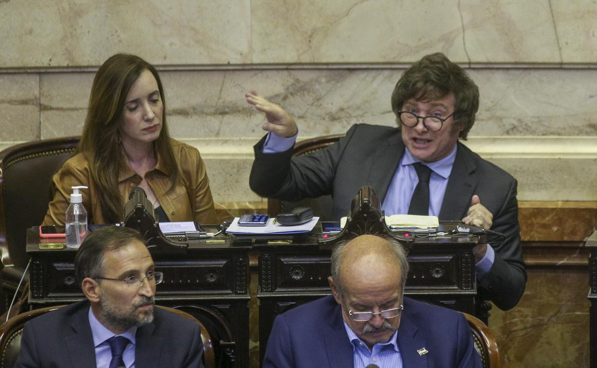 Javier Milei en Diputados. Foto: NA.