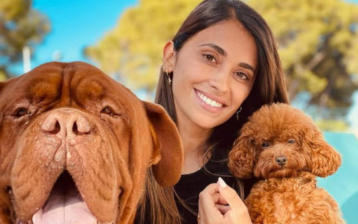 Anto Roccuzzo junto a sus mascotas. Foto: Instagram/antonelaroccuzzo.