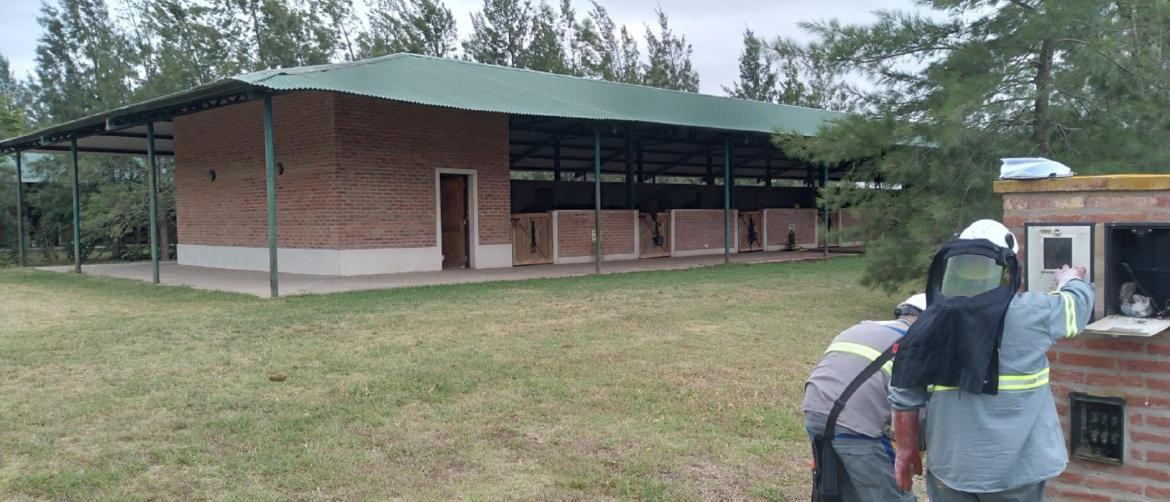 Conexiones clandestinas en La Dolfina Polo Ranch, Cañuelas. Foto: Edesur.