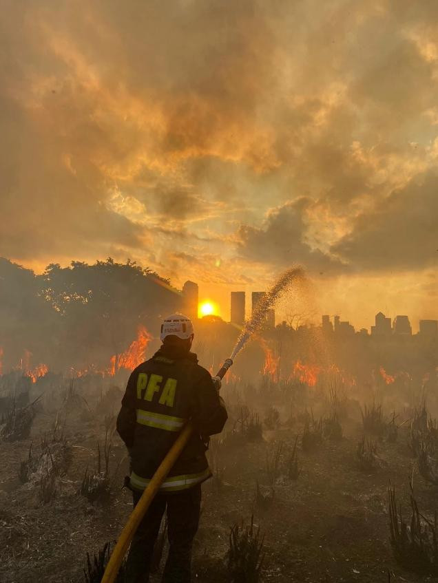 Incendio en Reserva Ecológica de Costanera Sur. Foto: NA.