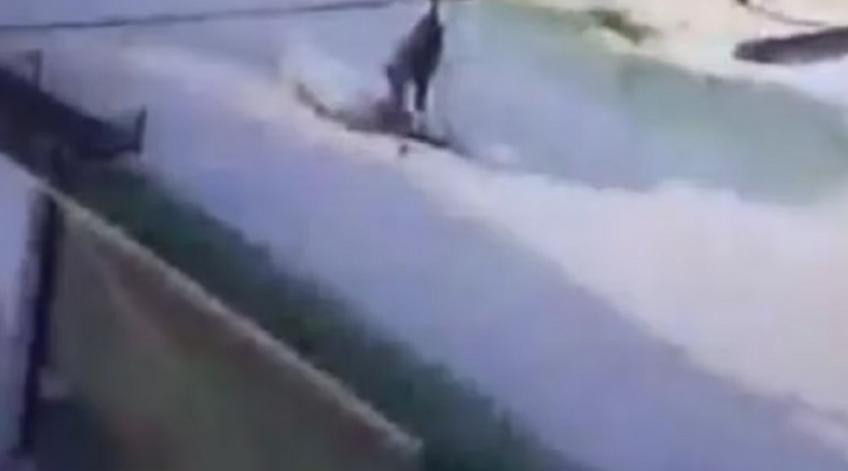 Policía atropelló a un perro en Esteban Echeverría. Foto: Captura de Video.