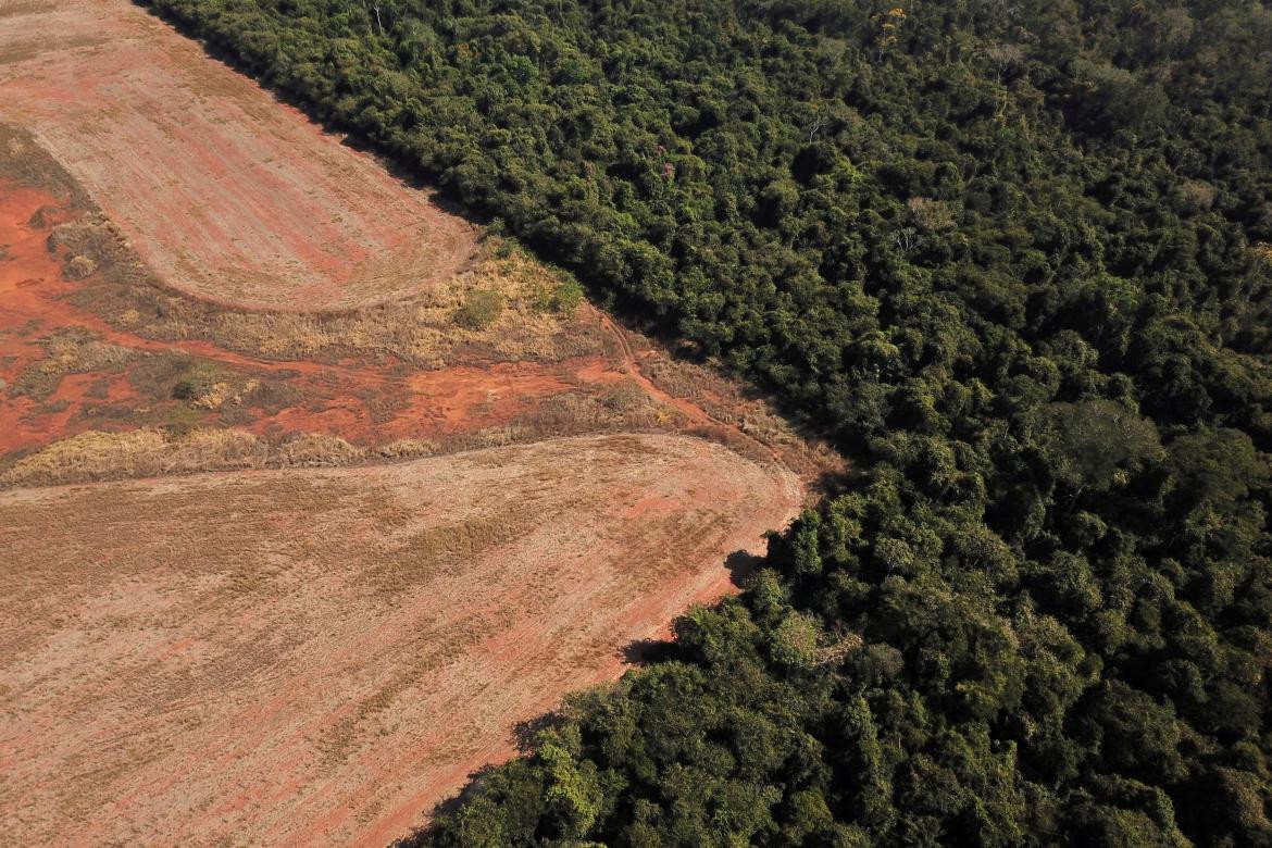 Amazonia brasilera. Foto Reuters.