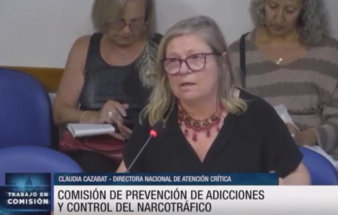 Comisión en Diputados de prevención de adicciones y control de narcotráfico. Foto: captura video