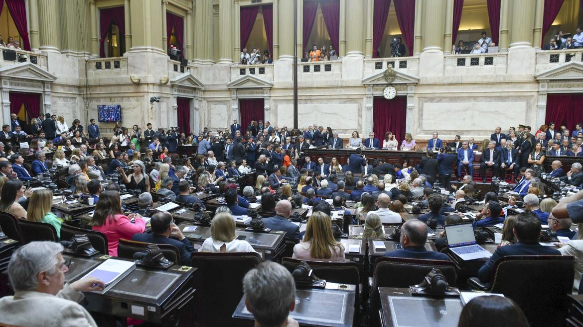 Alberto Fernández en Asamblea Legislativa. Foto: NA	