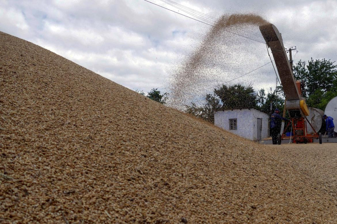 Acuerdo de cereales entre Rusia y Ucrania. Foto: REUTERS