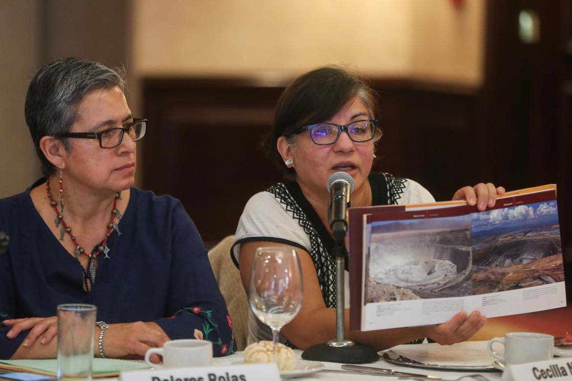 Cecilia Navarro (d), y la representante de la Fundación Heinrich Böll, Dolores Rojas, durante una rueda de prensa en Ciudad de México. EFE