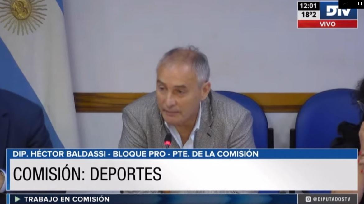 Diputados, Comisión de deportes, DTV