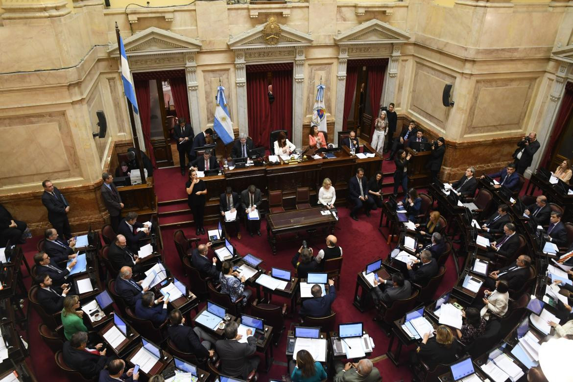 Senado; Ley de Alcohol Cero. Foto: Télam.