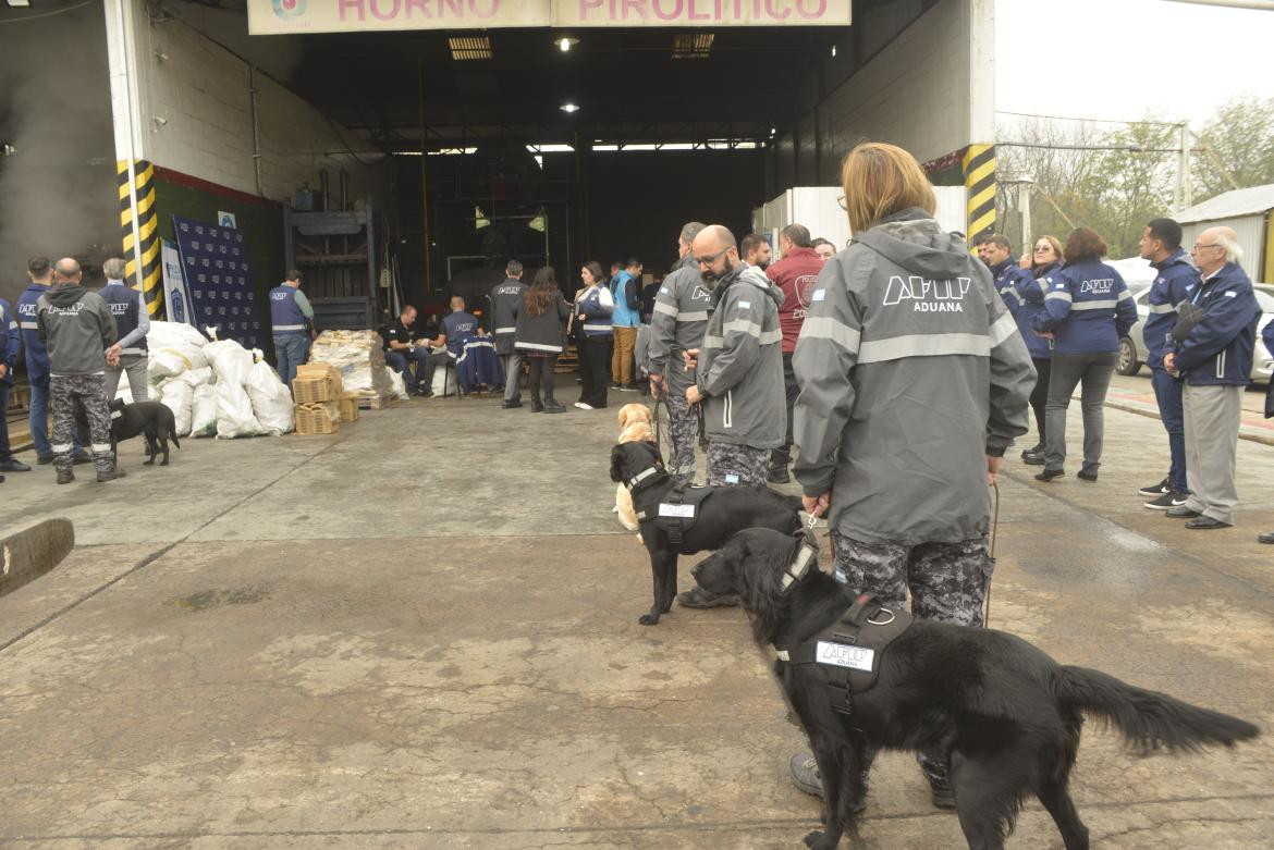 Aduana incineró dos toneladas de marihuana en Ezeiza. Foto: Aduana.