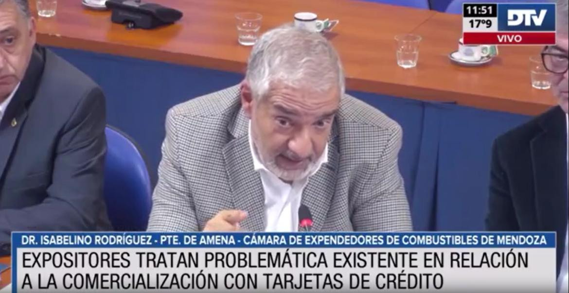 Diputados analizó la problemática en relación a la comercialización con tarjetas de crédito. Foto: Captura de pantalla.