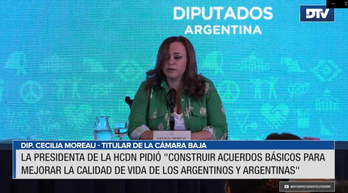 Cecilia Moreau, Cámara de Diputados, DTV