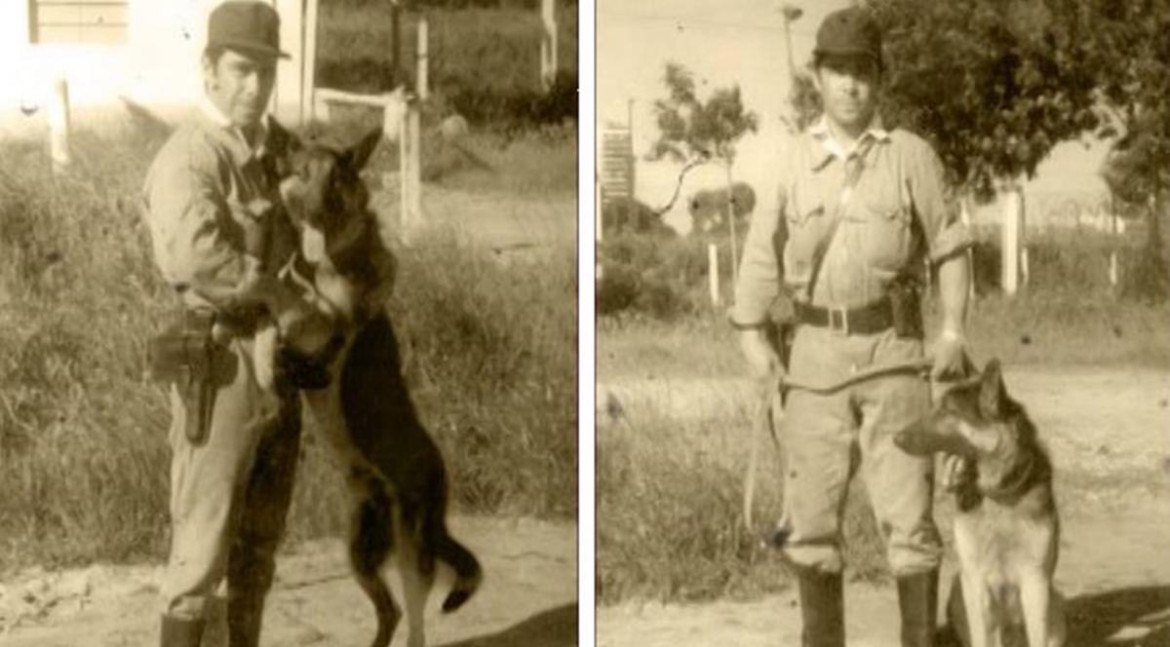 Chonino, perro Policía de la Fuerza Federal. Foto: Twitter