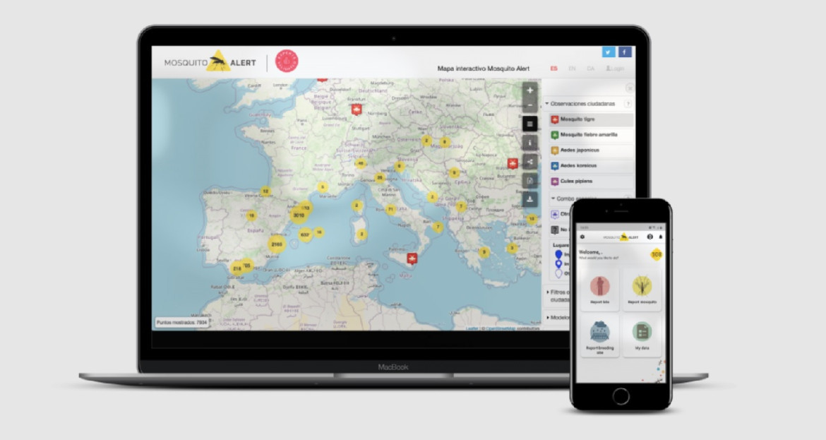 Mosquito Alert, la aplicación española para detectar la presencia de mosquitos en el país. Foto: Mosquito Alert.