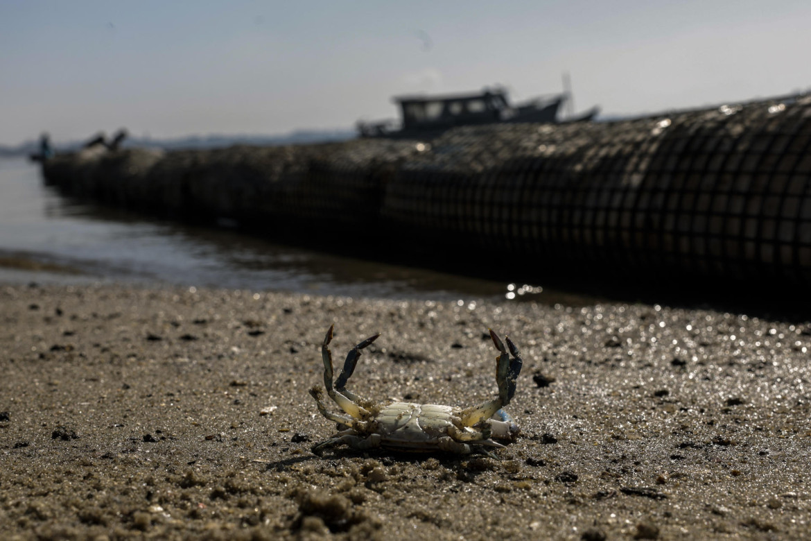 Se puso en marcha proyectos para disminuir la basura flotante en la bahía. Foto: NA.