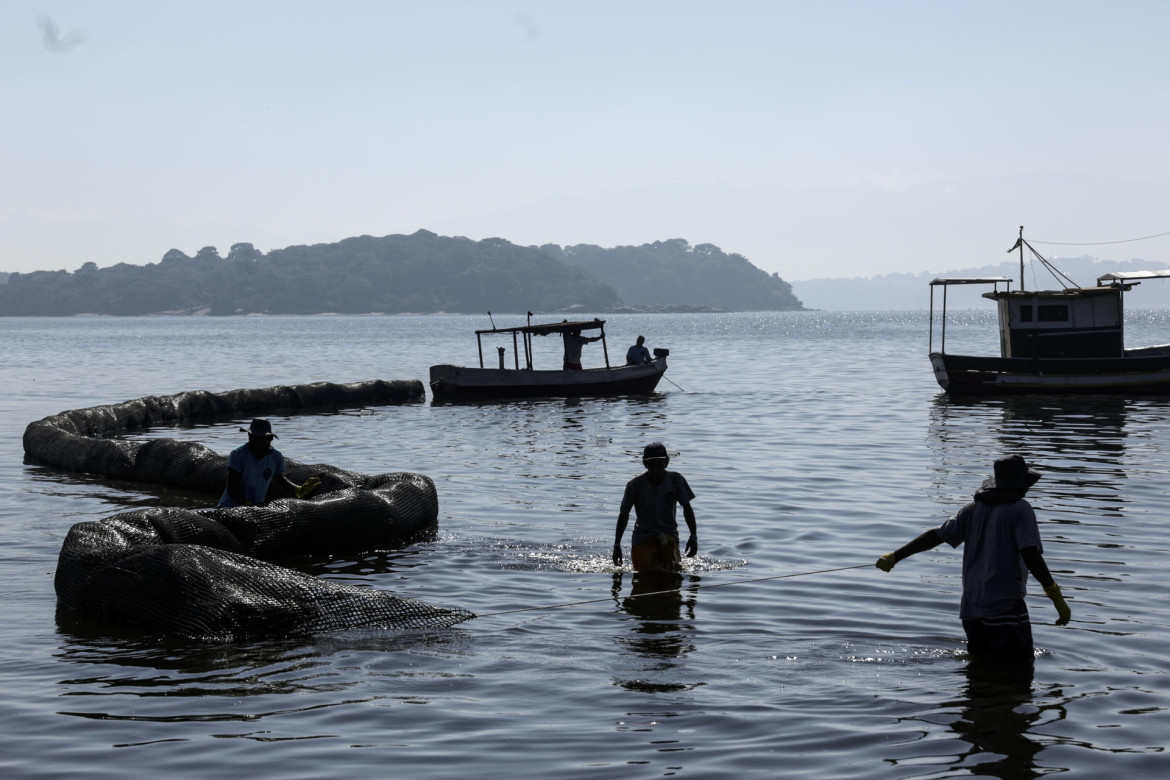 Proyecto para el Océano en Brasil. Foto: EFE.