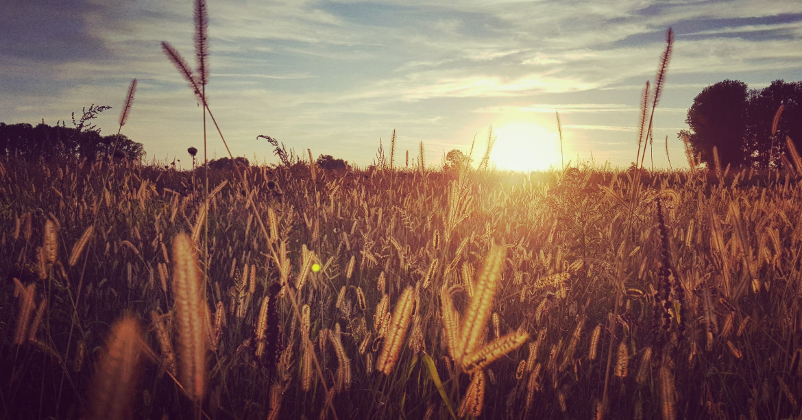 El Niño y los cambios de temperatura. Foto: Unsplash