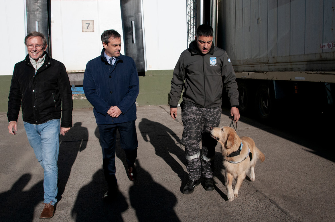 Agricultura y Aduana secuestraron 430 toneladas de carne