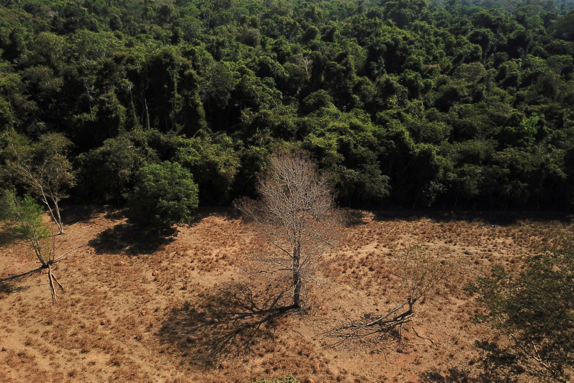 Deforestación en el Amazonía. Foto: Reuters