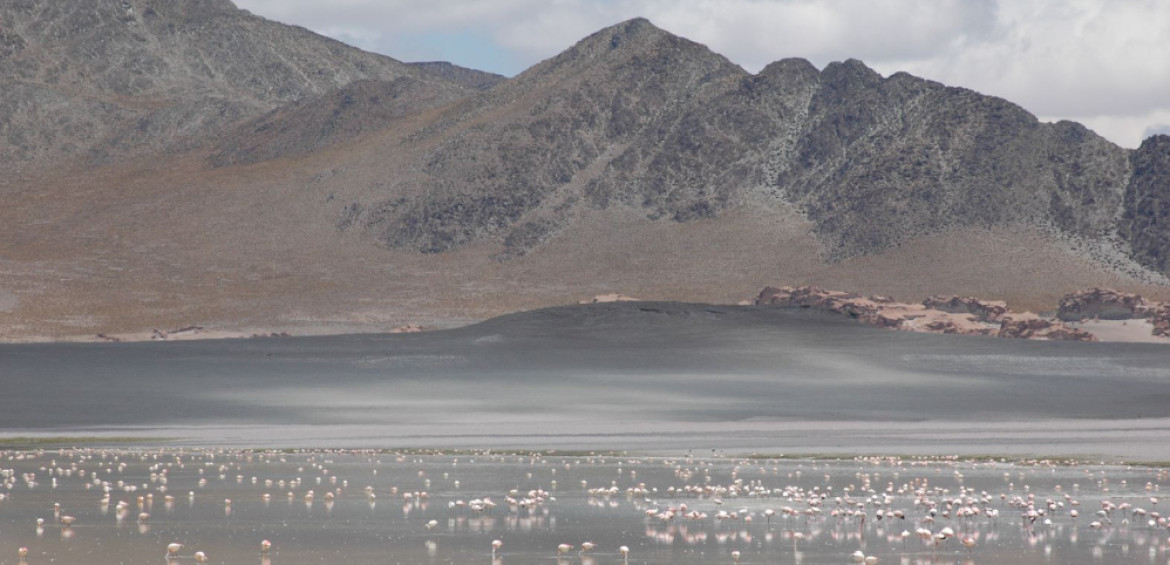 Reserva Natural Laguna Blanca. Foto: Turismo en Argentina.