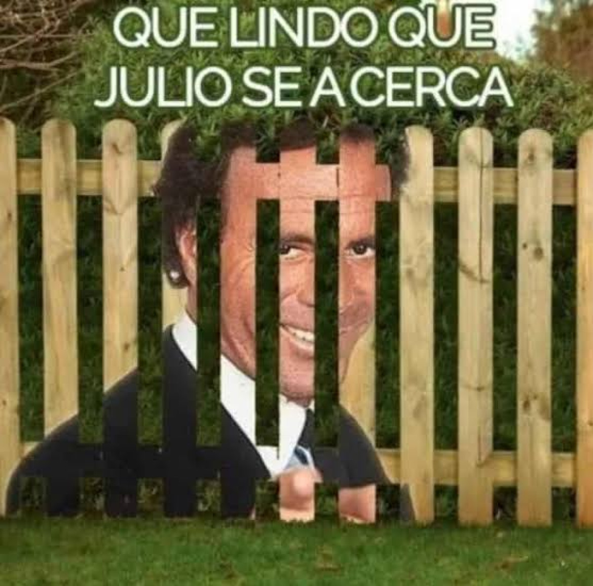 Memes de julio. Foto: Twitter.