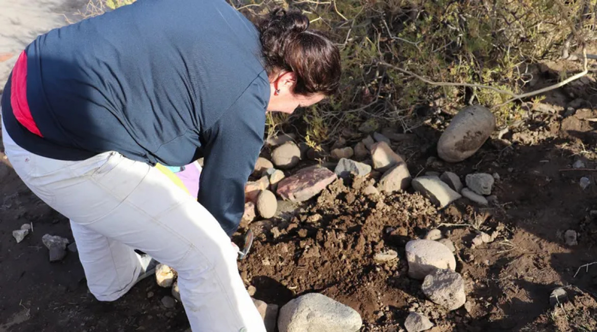 Restos arqueológicos en Neuquén. Foto: lmneuquen