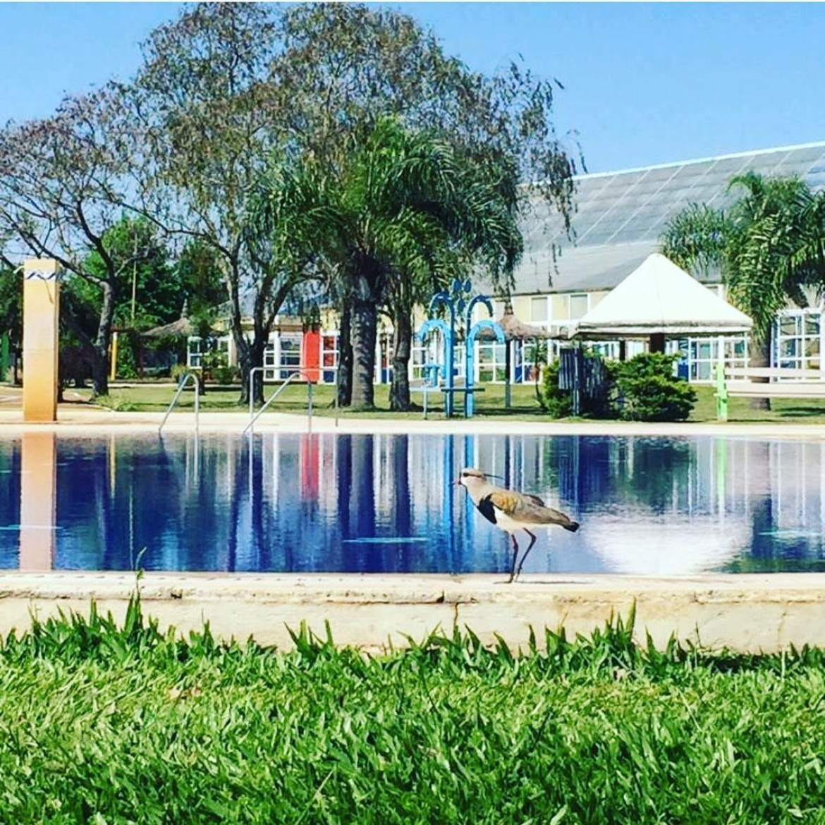 Termas de Federación. Foto: Instagram.