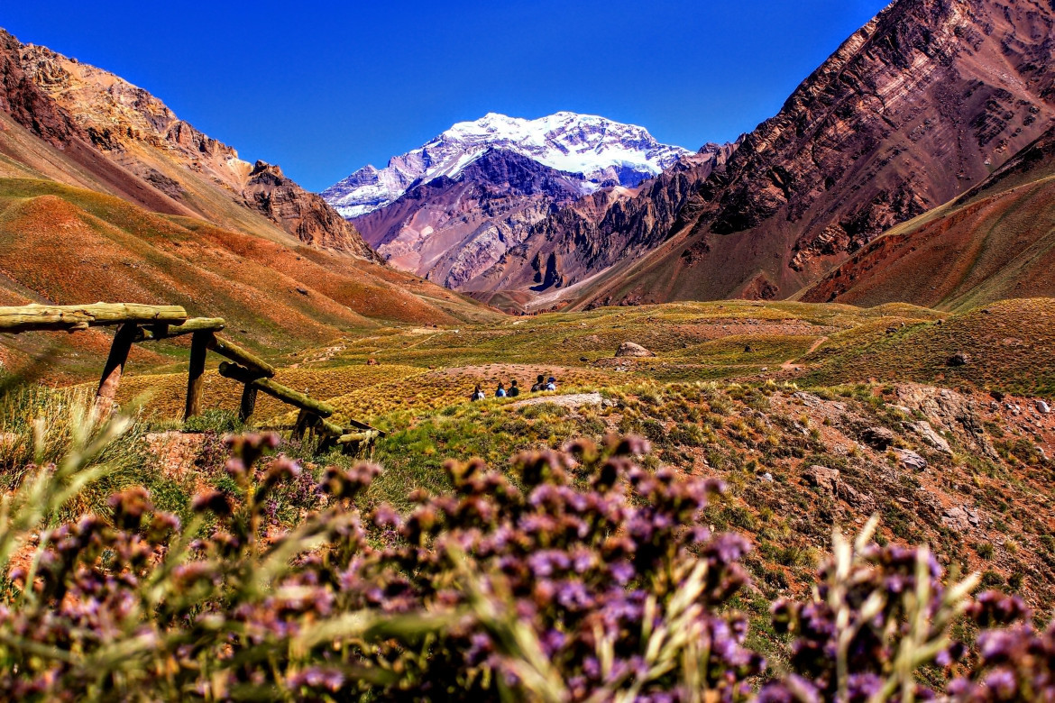 Mendoza. Foto: Unsplash