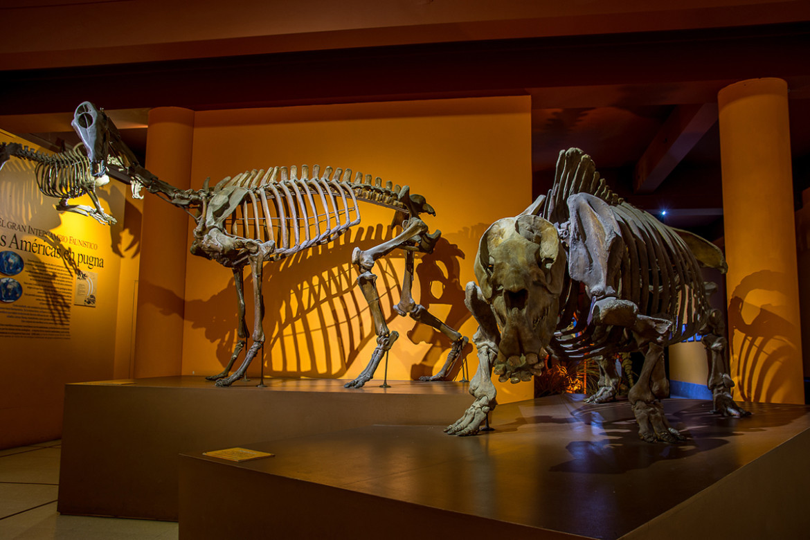 Museo Argentino de Ciencias Naturales.