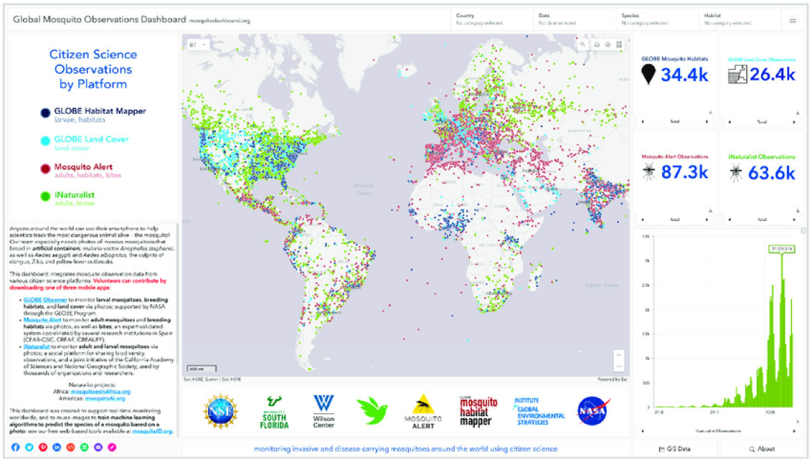 Tablero de mosquitos. Foto: mosquitodashboard.org