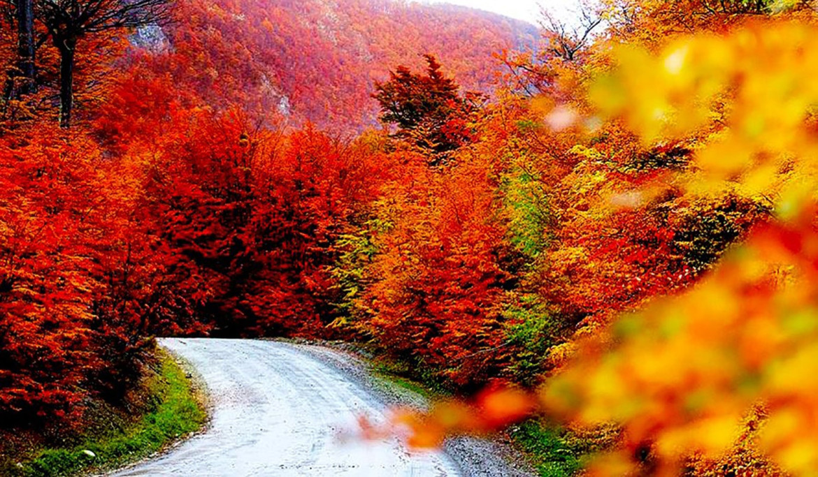 Tolhuin, Tierra del Fuego. Foto: Municipalidad de Tolhuin.