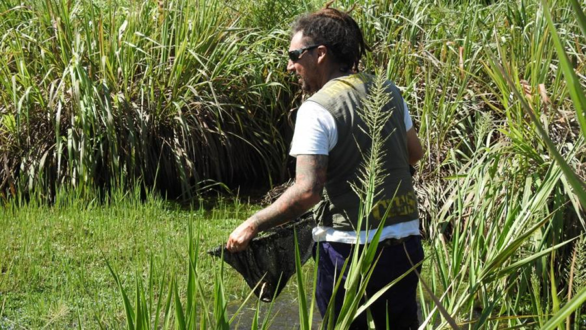 Científicos durante la investigación en la Reserva Natural de la Defensa Puerto Península. Foto: Telam