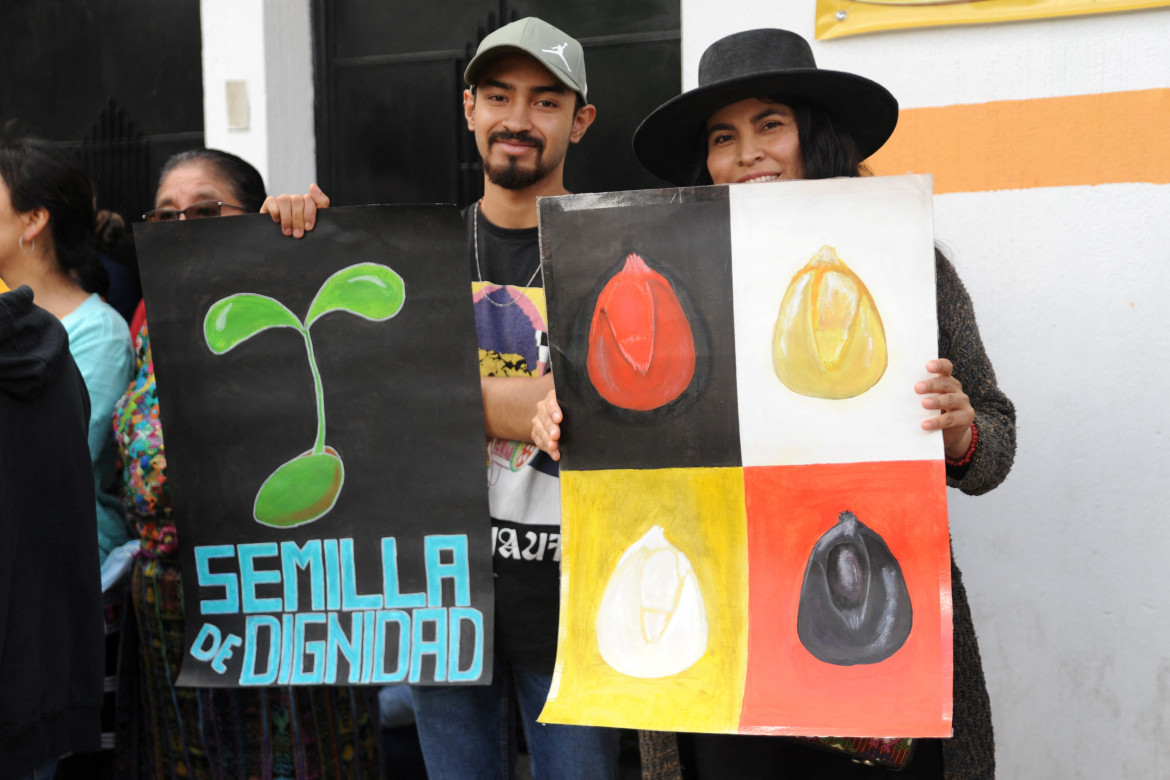 Las protestas en Guatemala por la persecución al partido "Movimiento Semilla". Foto: Reuters.