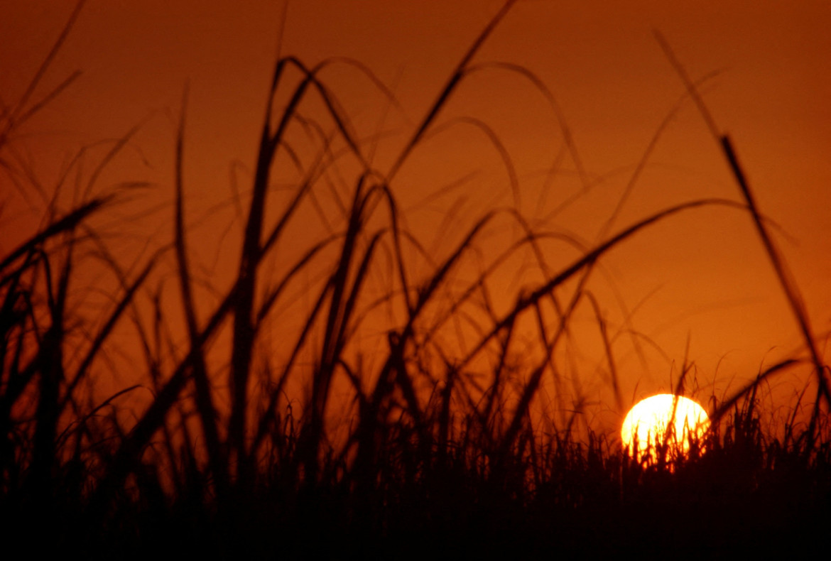 Ola de calor. Foto: Reuters.