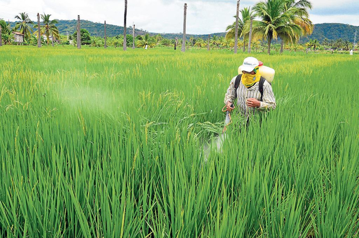 Plaguicidas en el campo.