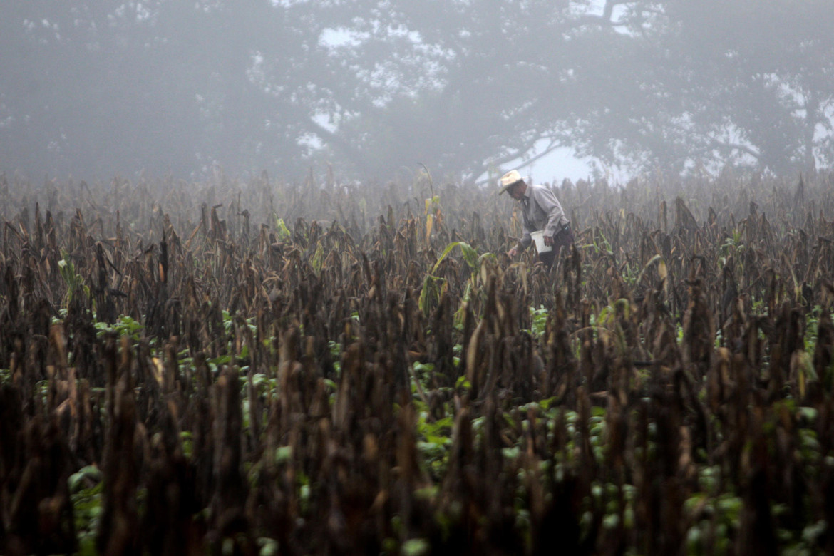 Fenómeno El Niño. Foto: EFE