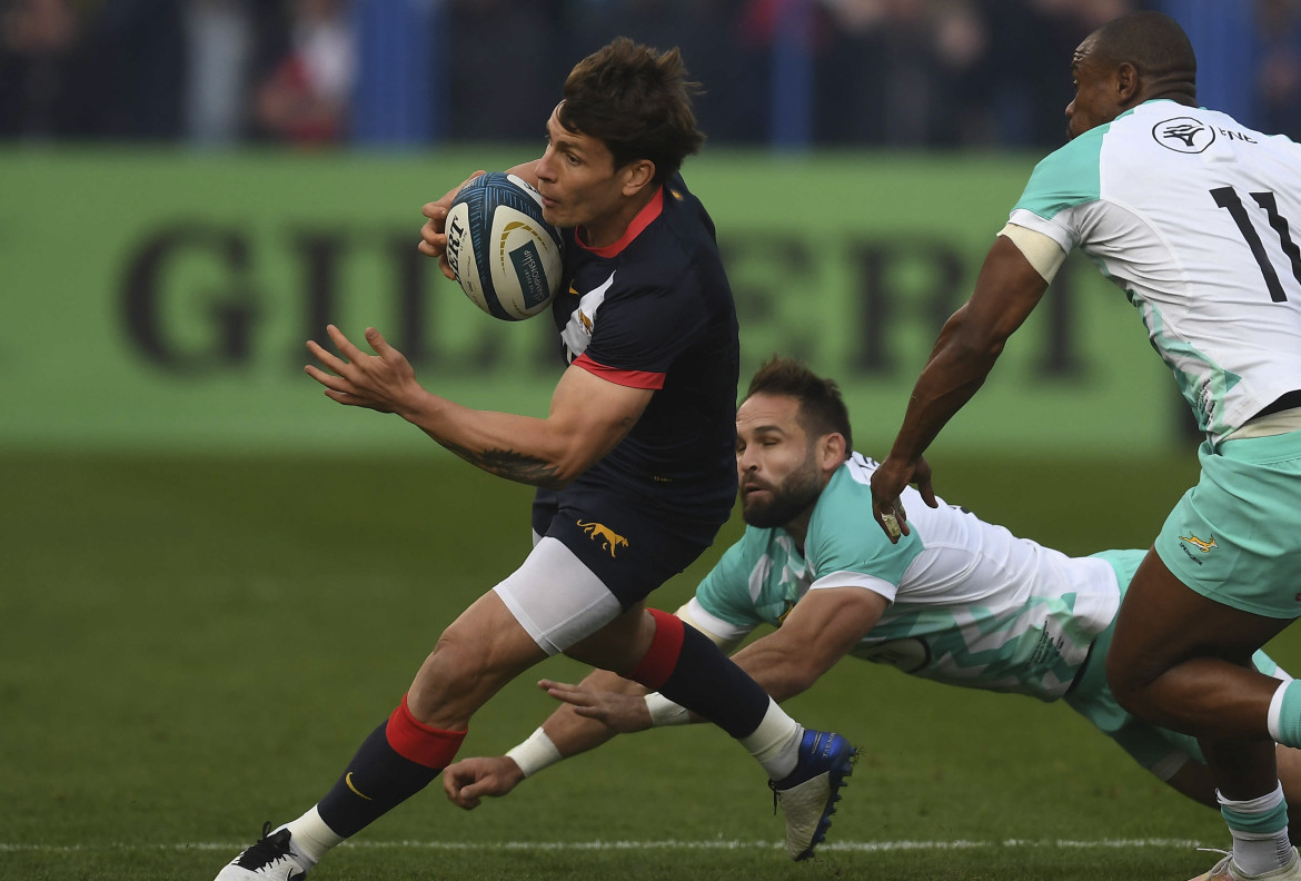 Los Pumas, rugby. Foto: Télam