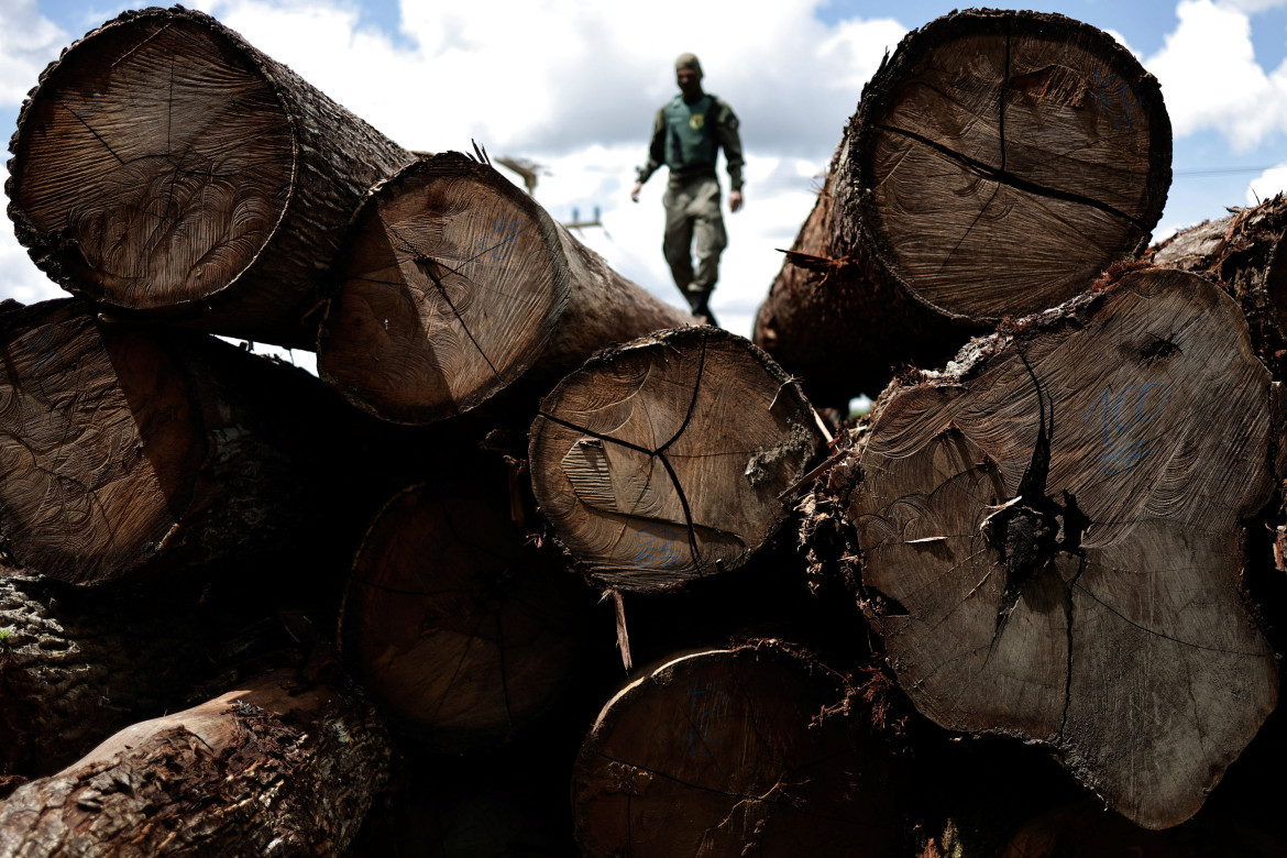 Deforestación en  el Amazonas