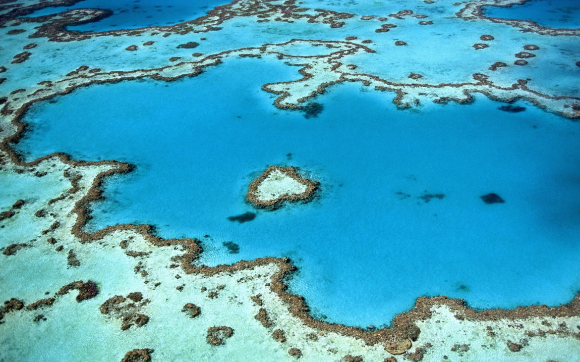 Gran Barrera de Coral. Foto: Unsplash.